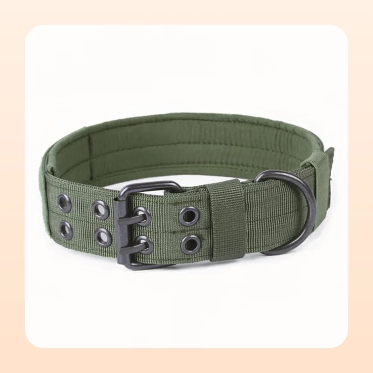 Kindral tactical nylon dog collar in green