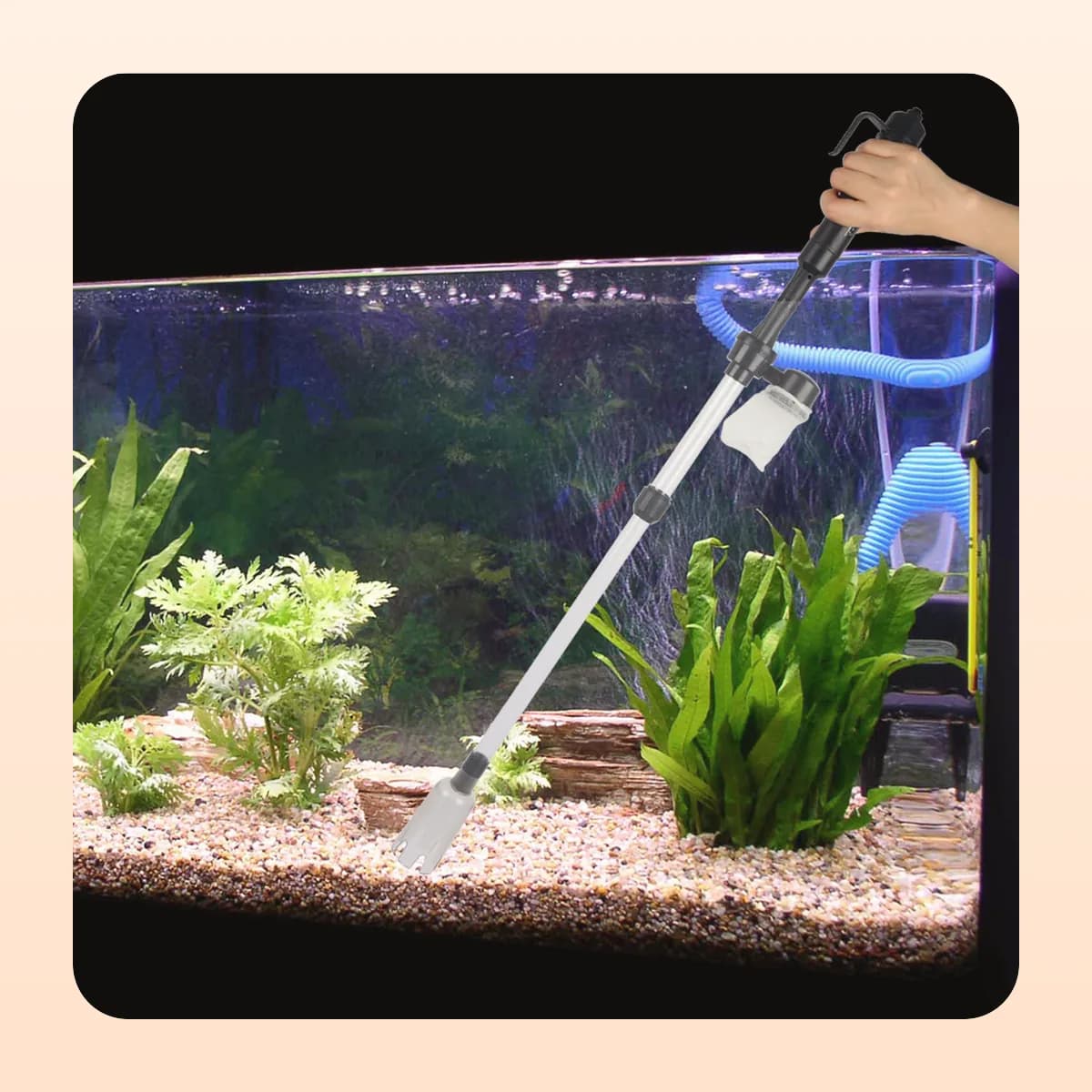 The Kindral gravel vacuum cleaning a planted tank