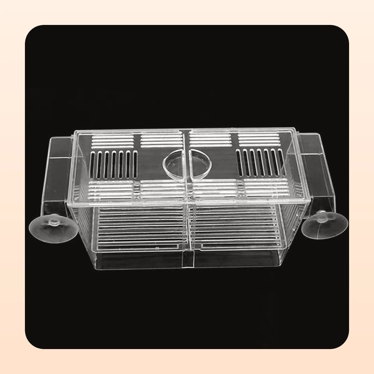 The Kindral breeding box with its divider fitted
