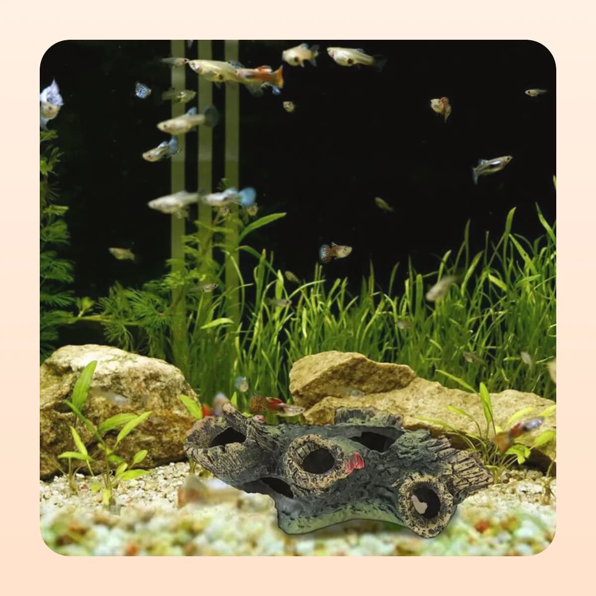 The Kindral driftwood branch in a planted aquarium
