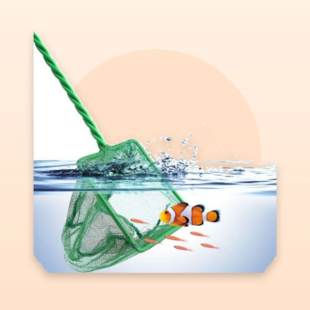 The Kindral fish net lifting a fish from the water