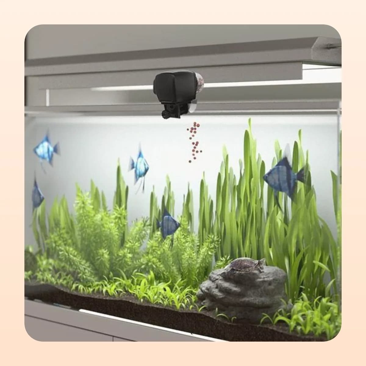 The Kindral timer feeder mounted on a tank rim