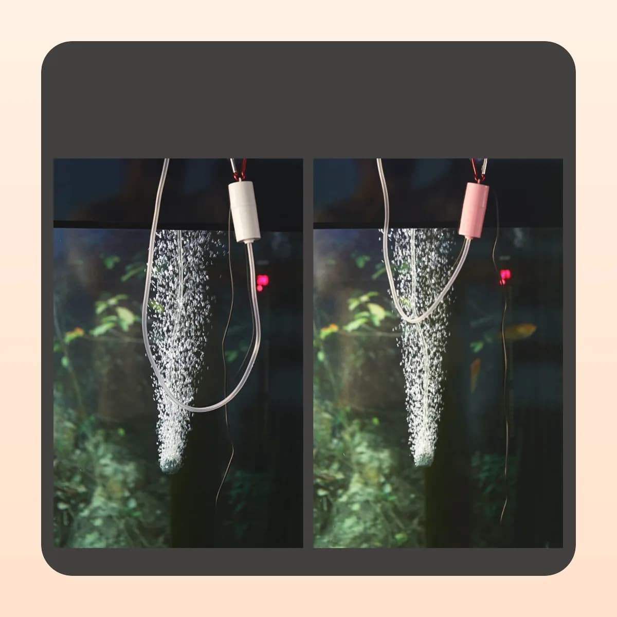 The Kindral USB air pump producing bubbles in a tank