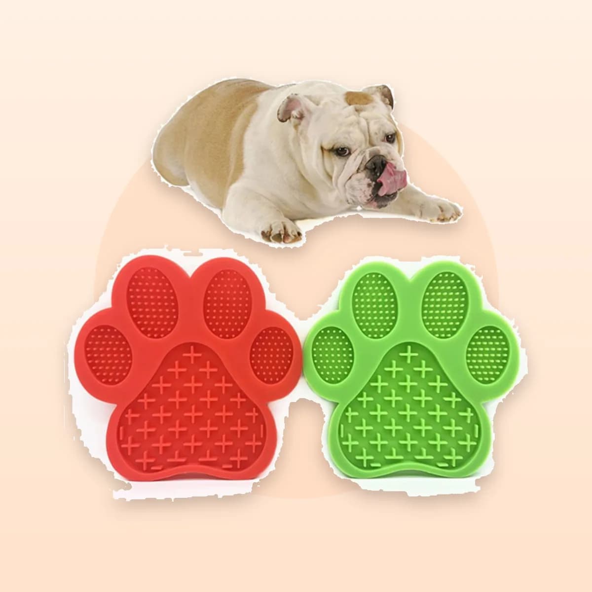 Bulldog beside Kindral lick pads in red and green