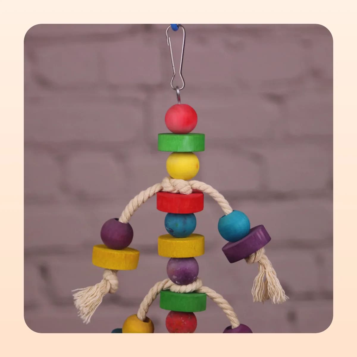 The coloured blocks on the Kindral beak toy