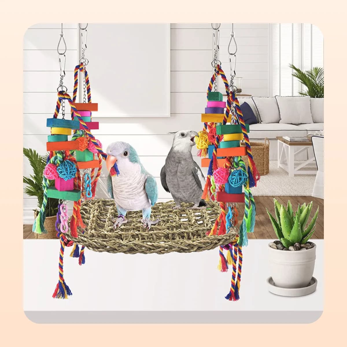 Two birds on the Kindral seagrass climbing mat
