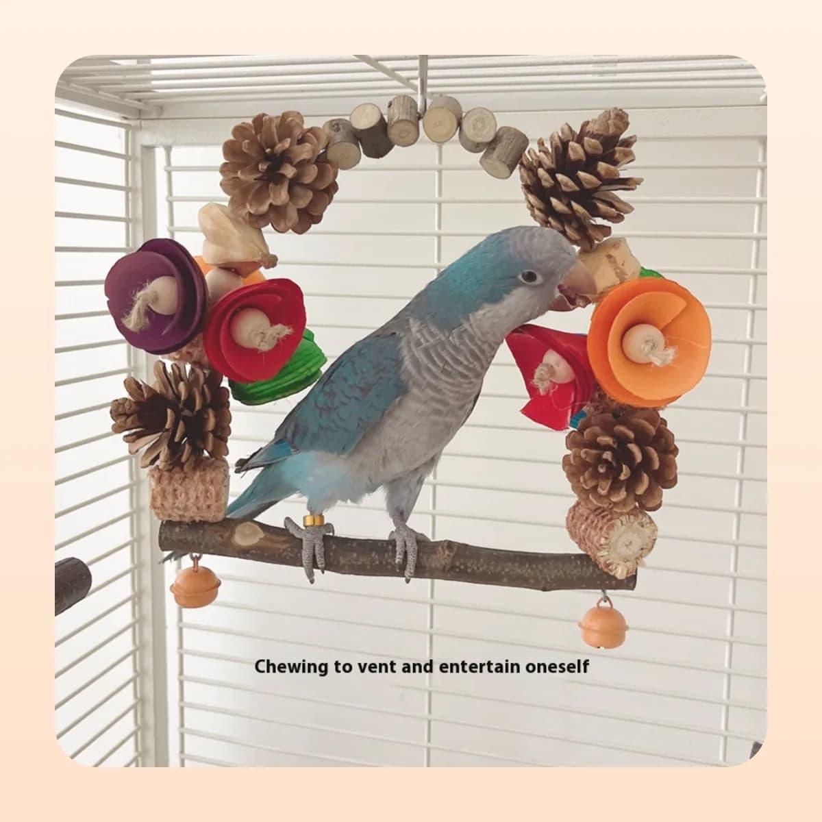 Kindral wooden parrot swing with pine cone