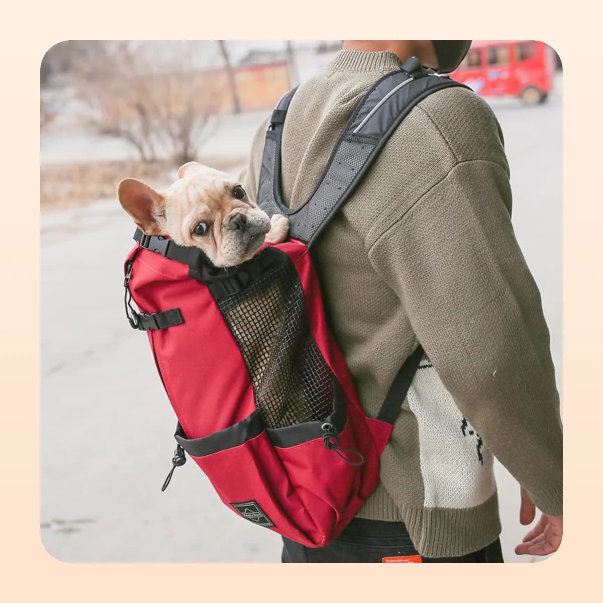 Side view of the Kindral carrier backpack being worn