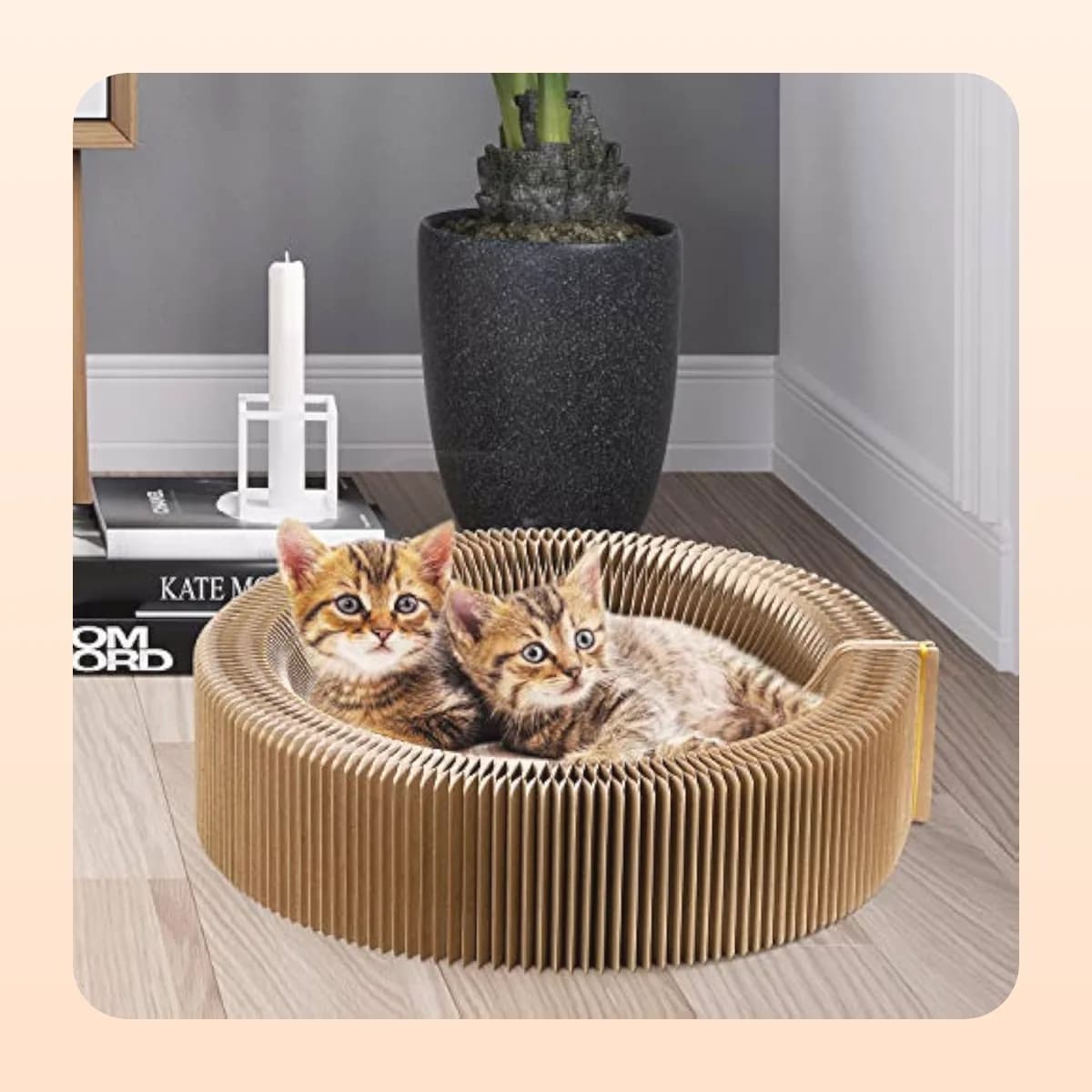 Two cats in the Kindral scratch lounger in a living room