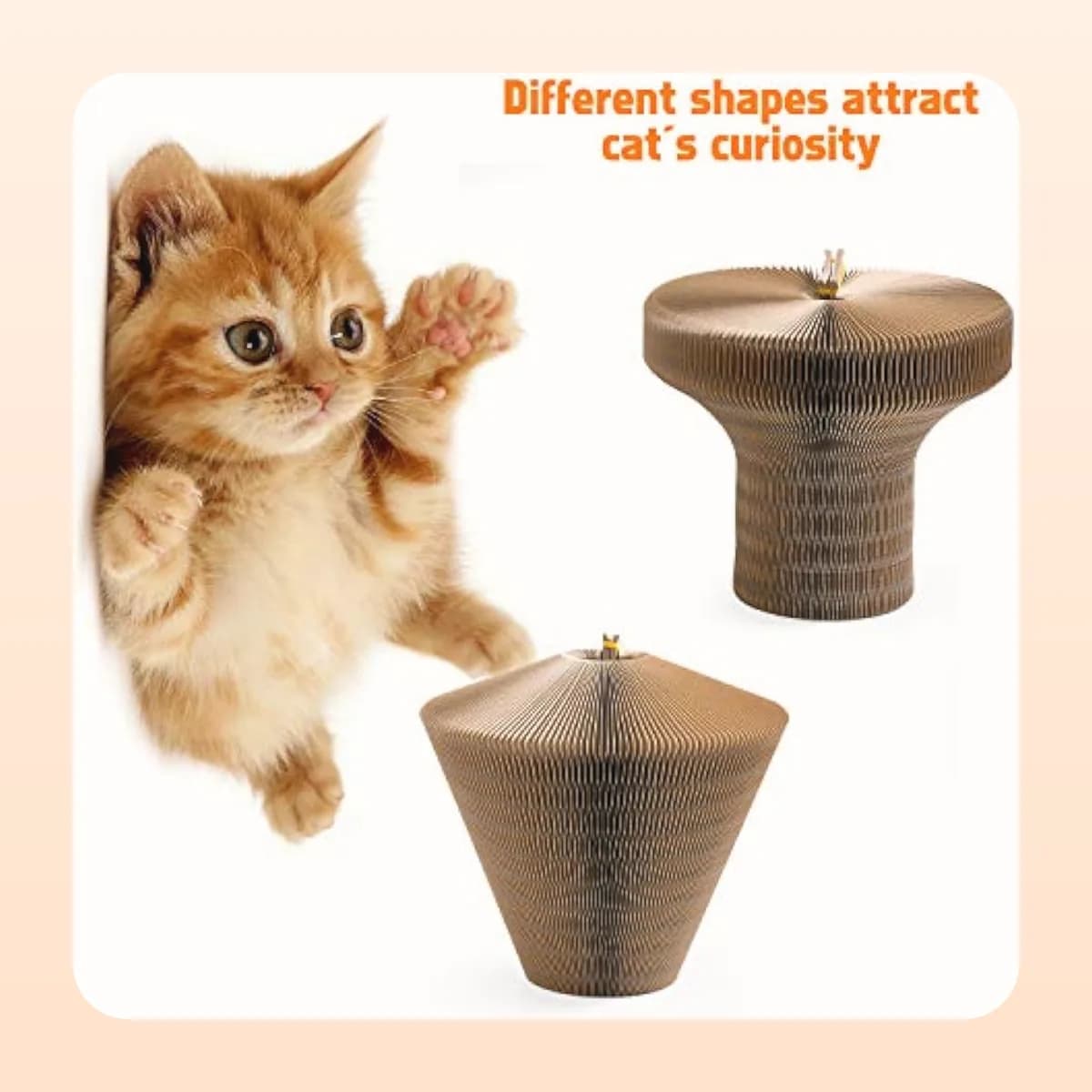 The concertina twists into different shapes