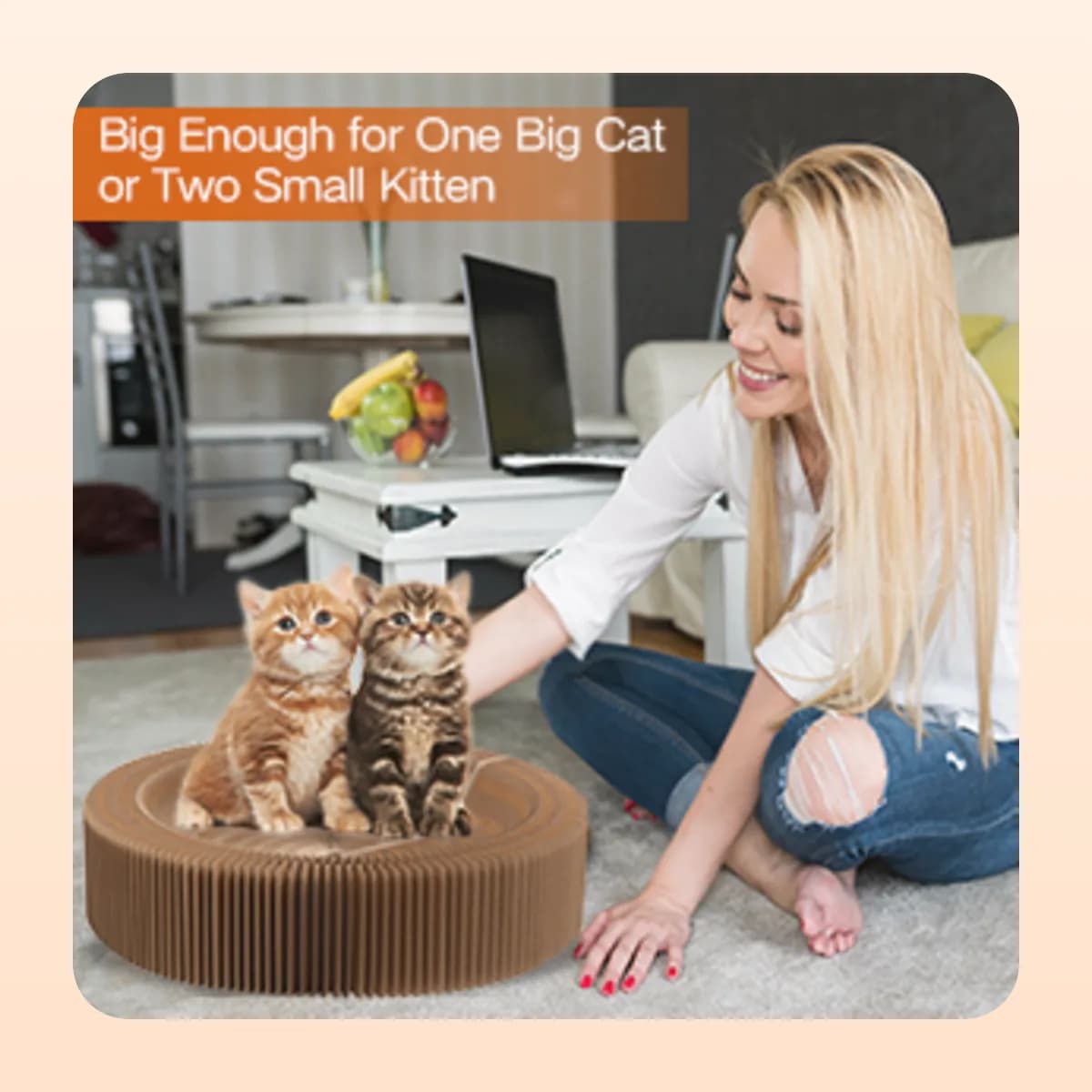 Big enough for one large cat or two kittens