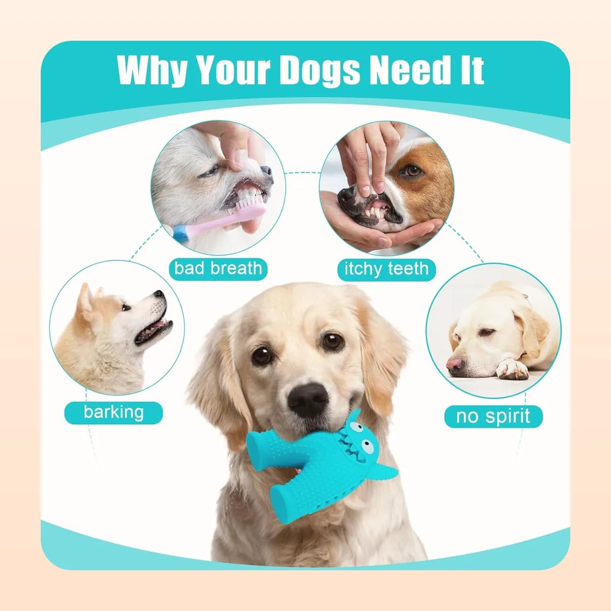 Chewing helps with itchy teeth, breath and boredom barking