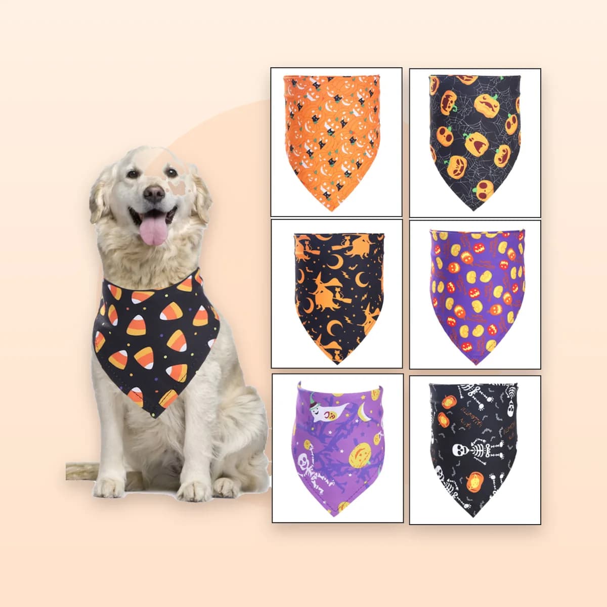 Retriever wearing the Kindral candy corn Halloween bandana