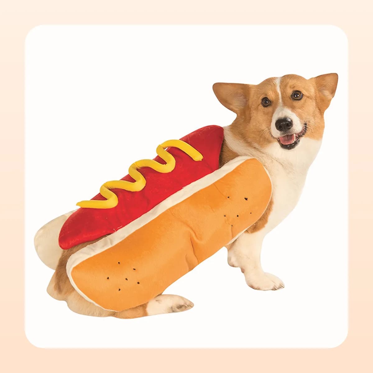 Corgi wearing the Kindral hot dog costume