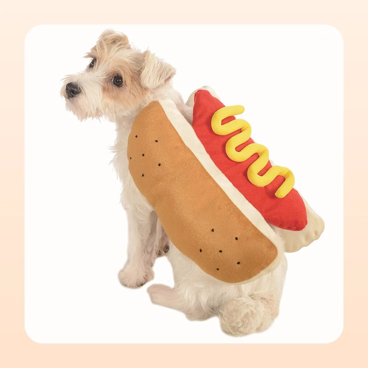 Terrier in the Kindral hot dog costume, side view