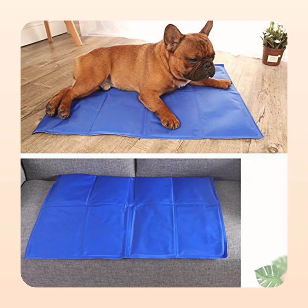 French bulldog on the Kindral cooling mat, and the mat on a sofa