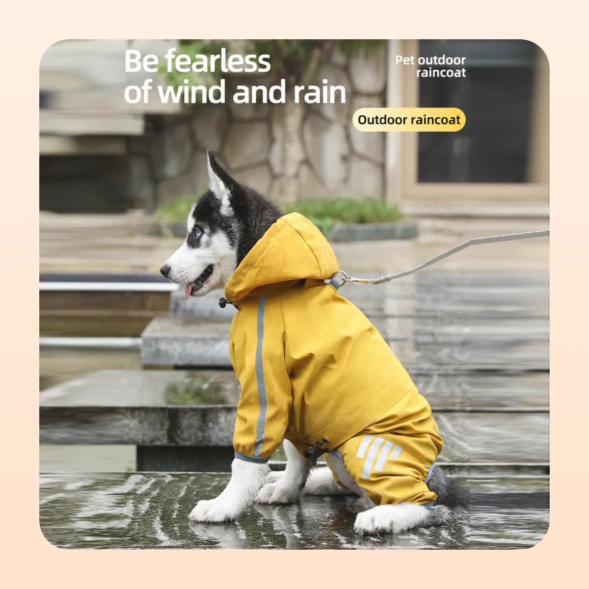 Dog in the Kindral raincoat walking through rain