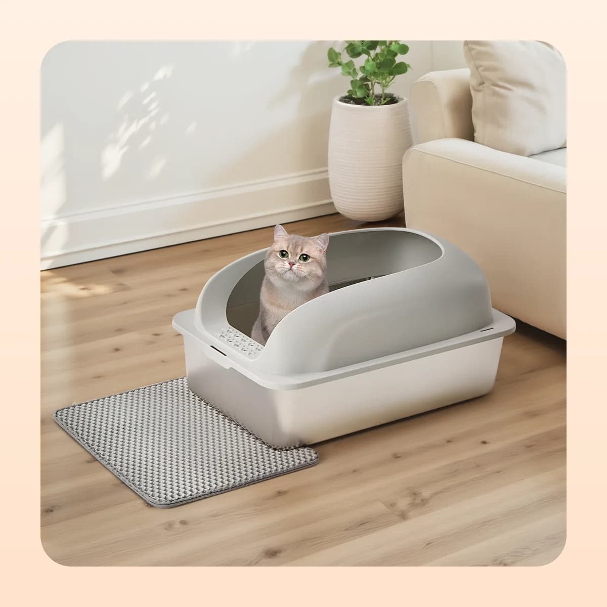 Cat sitting in the Kindral steel litter box in a living room