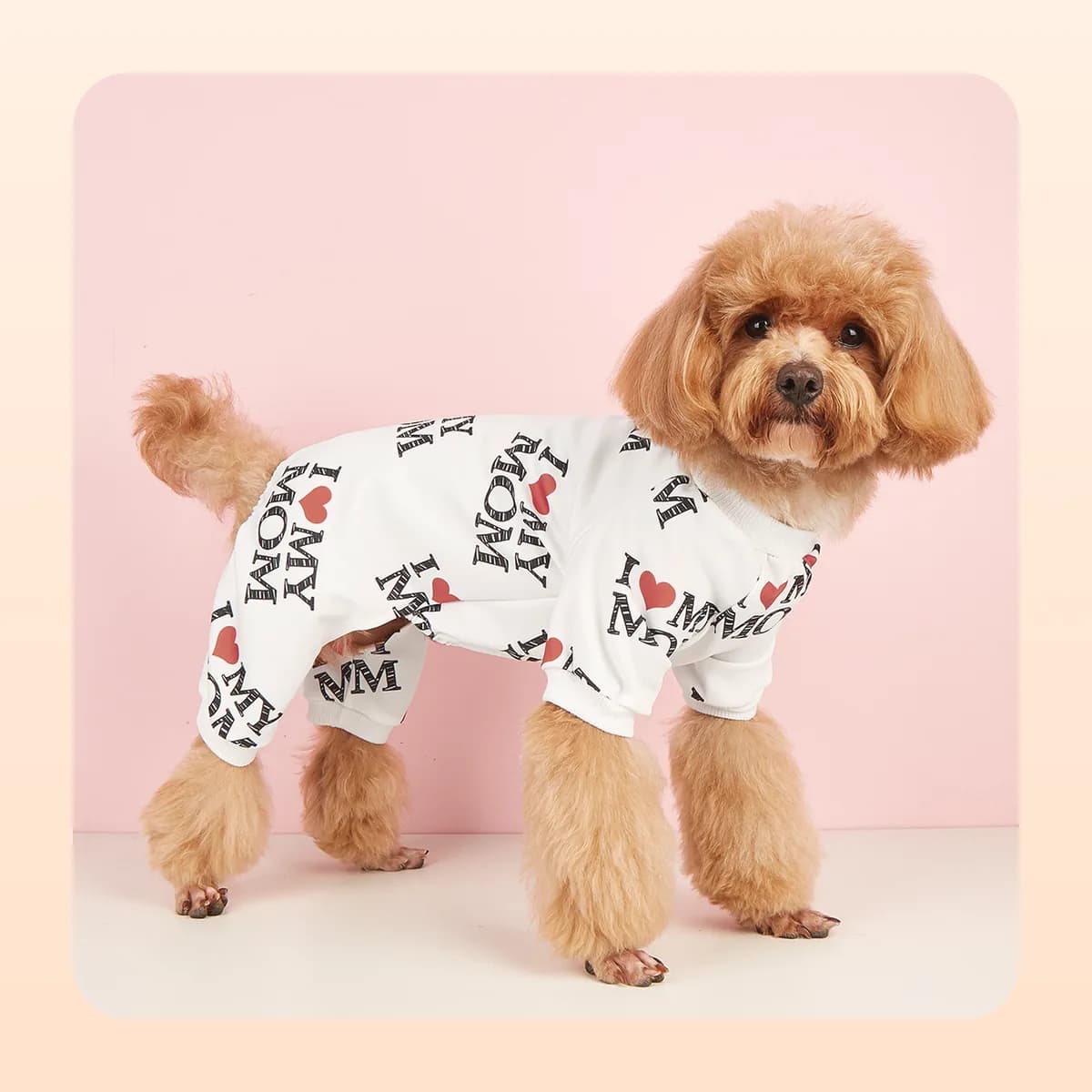 Poodle wearing the Kindral white printed pyjama suit