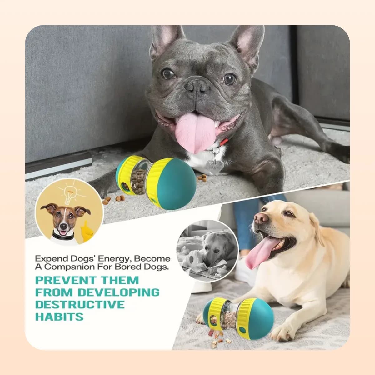 Dogs playing with the Kindral IQ treat dispenser