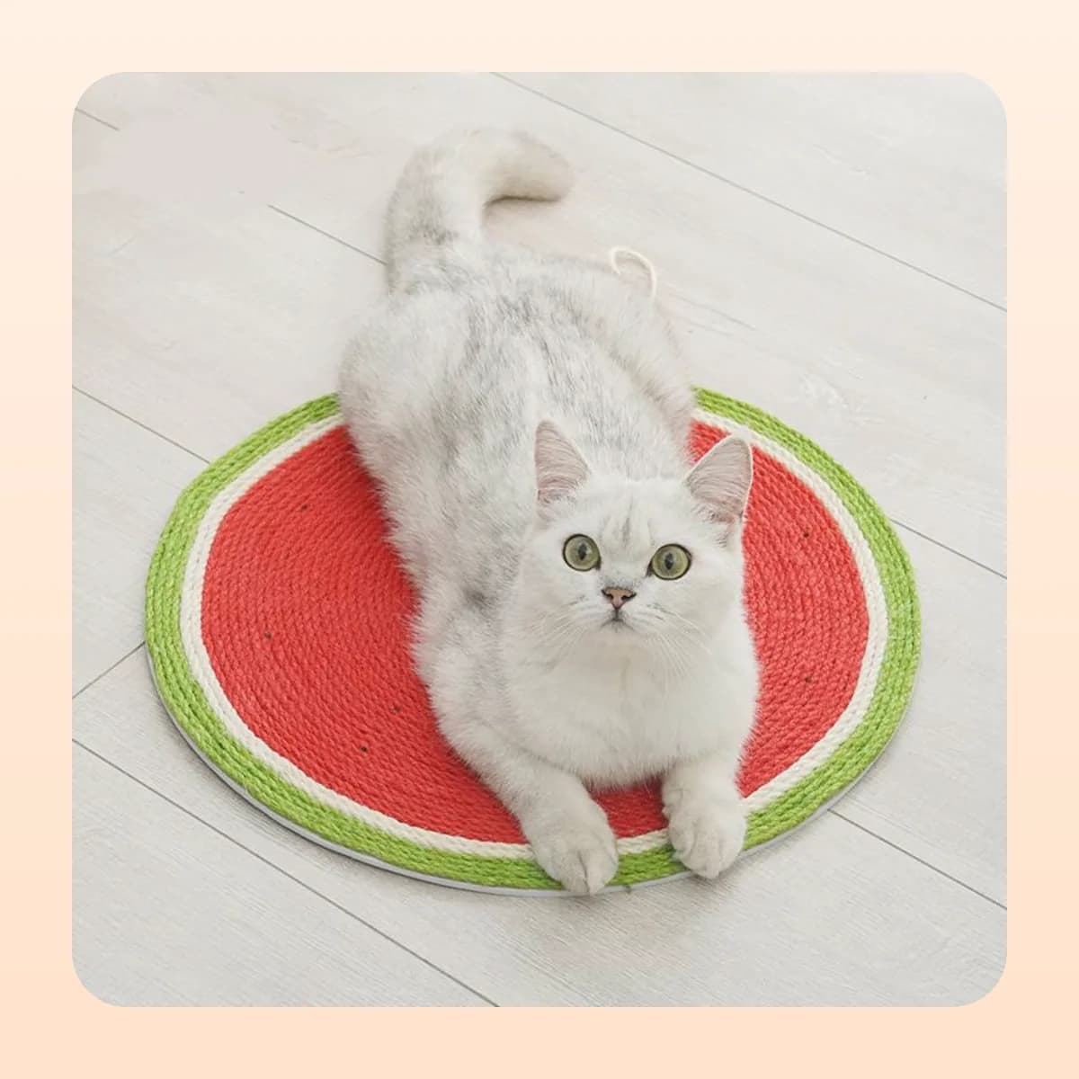 Cat lying on the round Kindral watermelon sisal mat on the floor