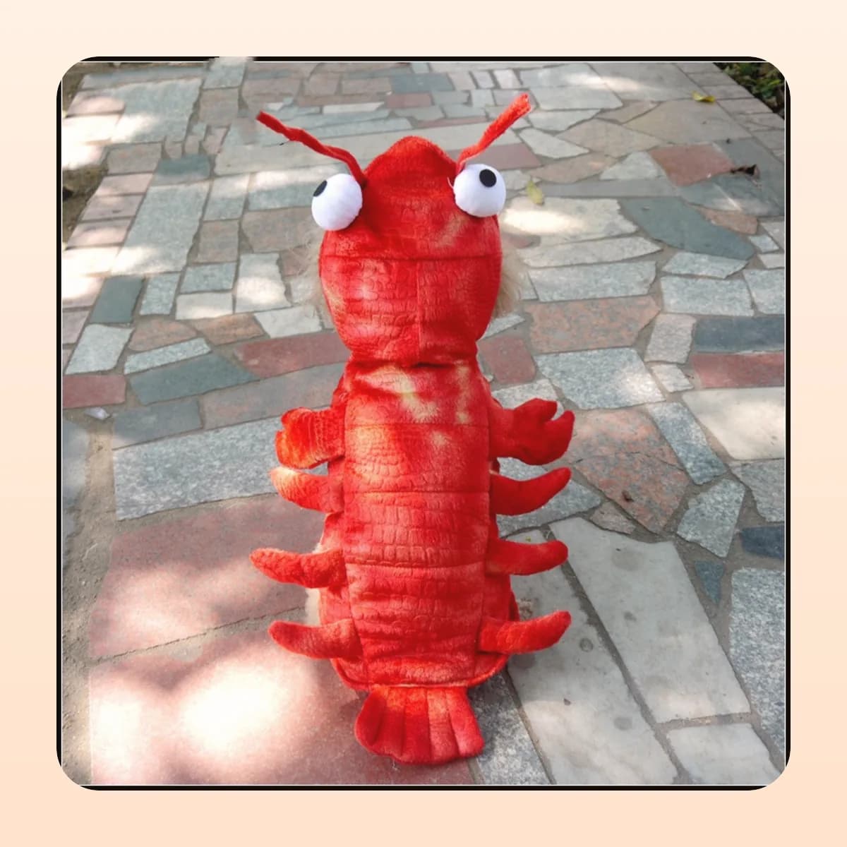 Lobster costume photographed outdoors on paving