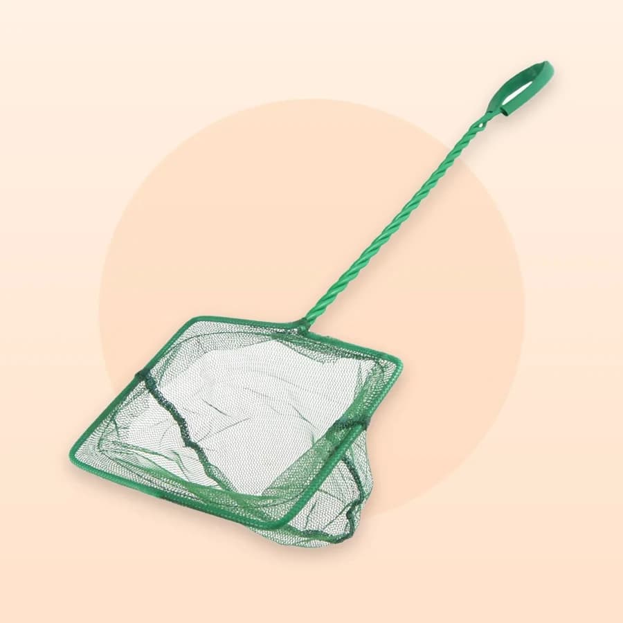 Care & Cleaning