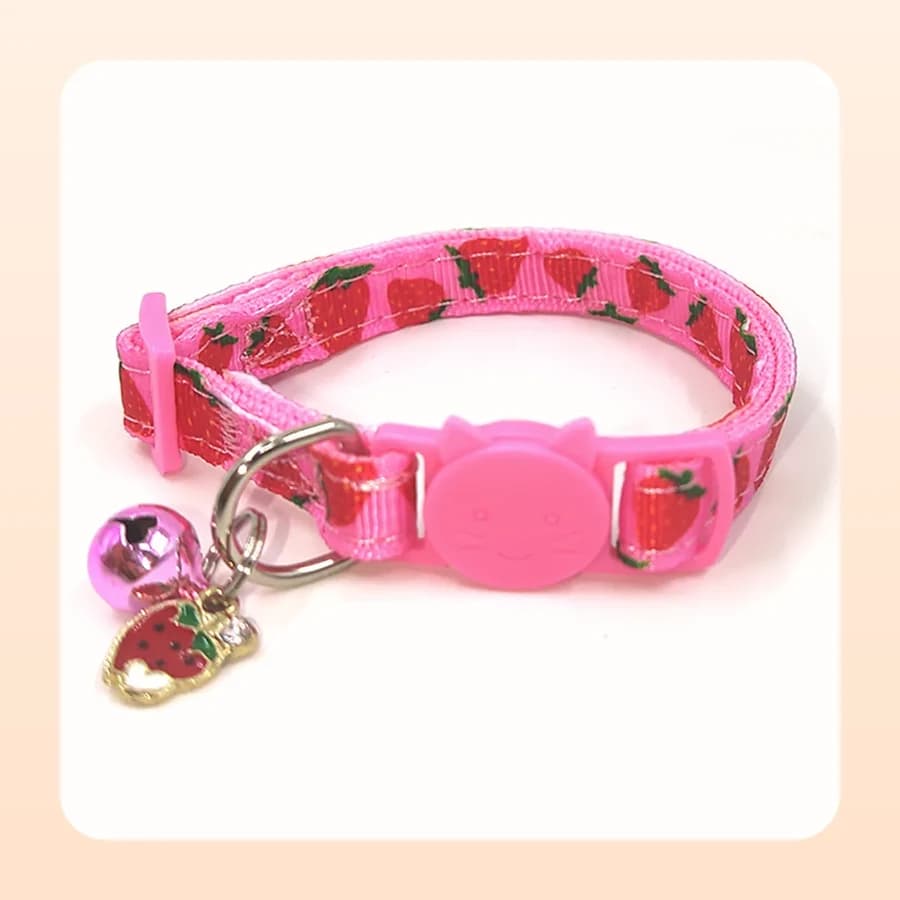 Collars & Leashes
